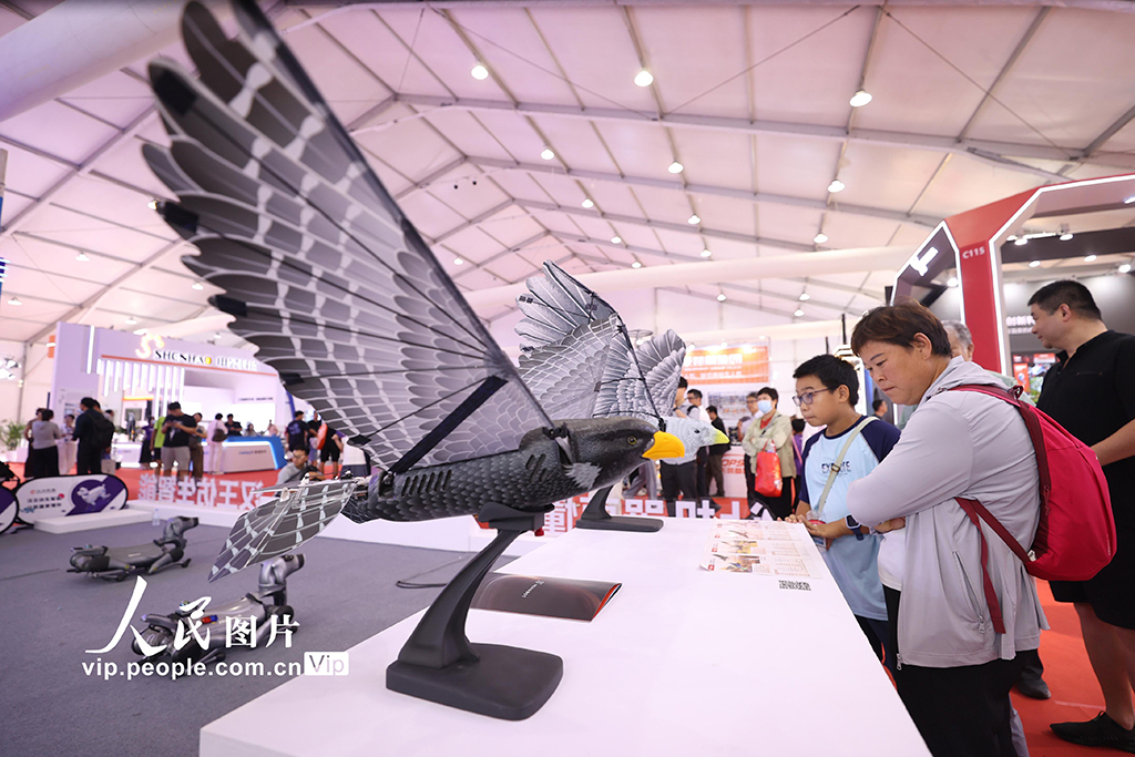 北京：世界機器人大會人氣旺【5】