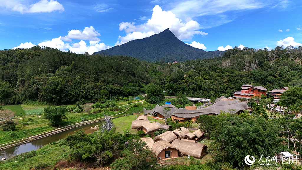 2025年6月26日，海南省五指山毛納村以黎族文化和生態資源為主題，在不拆房、不砍樹、不占田的前提下，大力發展鄉村旅游業，積極探索“茶+旅+文”深度融合的發展模式。如今，常態化舉辦的黎苗文創展、茶藝展演、民俗長桌宴、篝火晚會等豐富多彩的文旅活動，成功實現游客從“一日游”向“過夜游”的轉變，消費拉動效應顯著增強。人民網記者 符武平攝