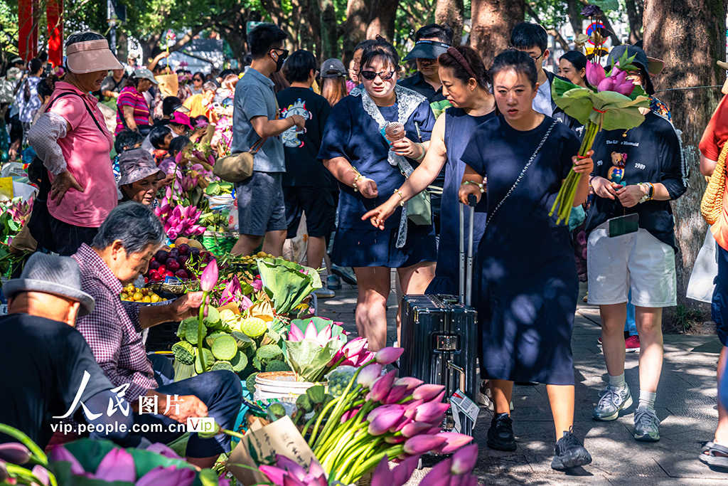 江蘇蘇州：荷花市集人氣旺【5】