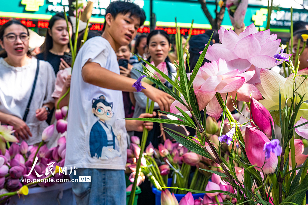 江蘇蘇州：荷花市集人氣旺【4】