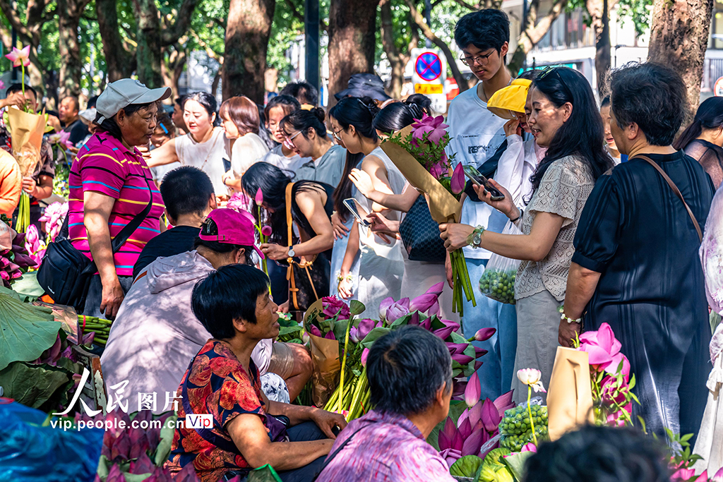 江蘇蘇州：荷花市集人氣旺【7】