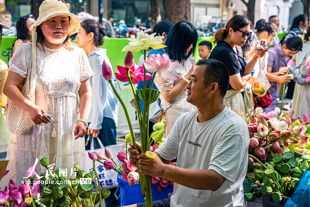 江蘇蘇州:荷花市集人氣旺【2】