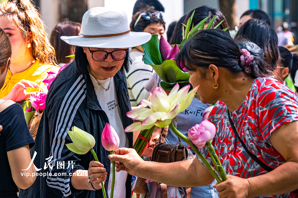 江蘇蘇州：荷花市集人氣旺【3】
