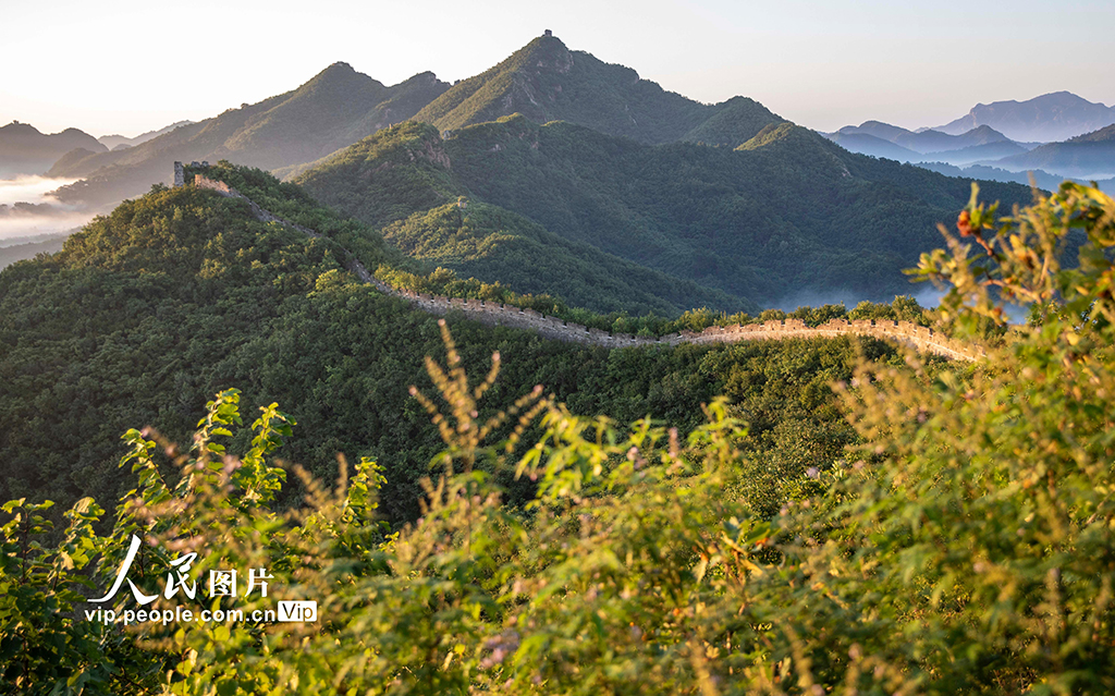 河北秦皇島:長城云海 美景如畫【3】