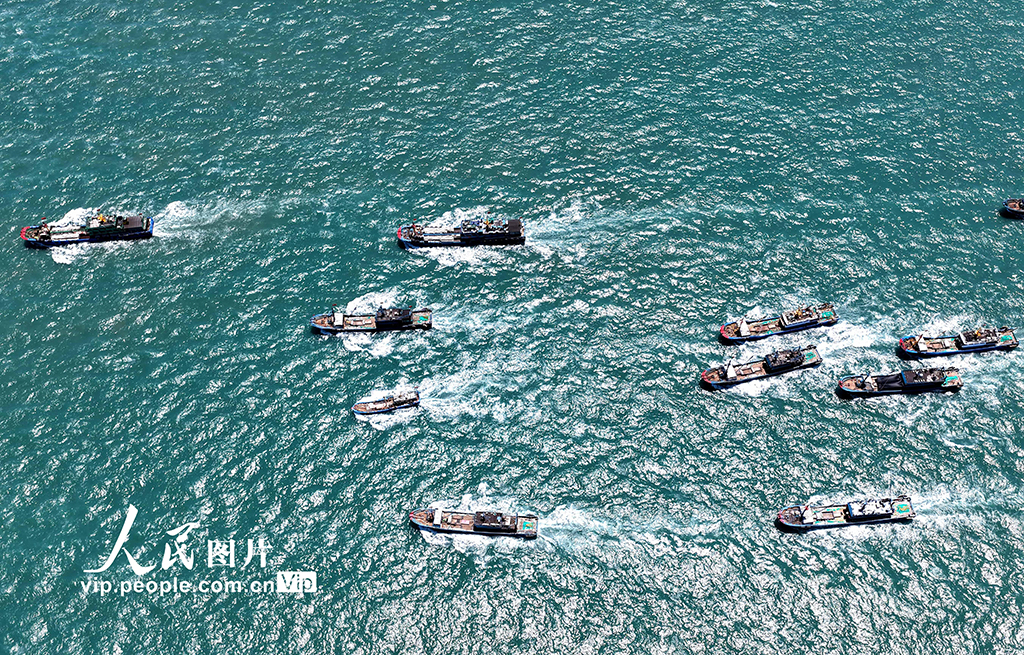 福建連江：千帆競發 出海開捕【5】