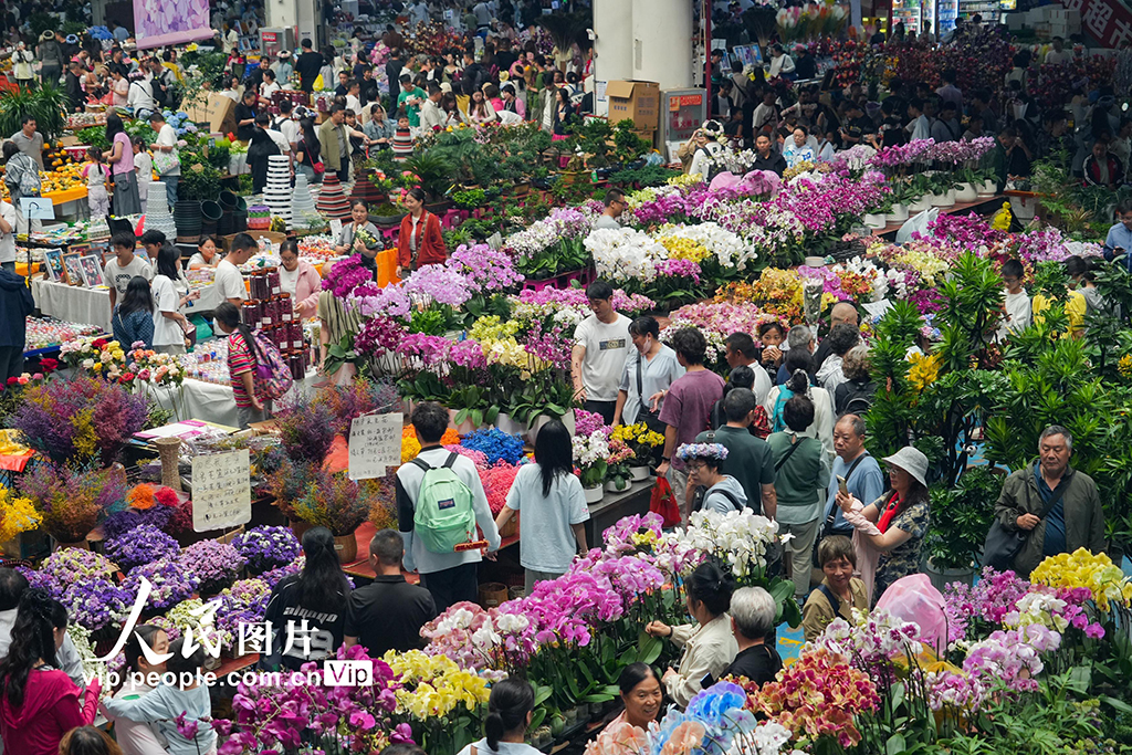 云南昆明：斗南花市鮮花俏銷【3】