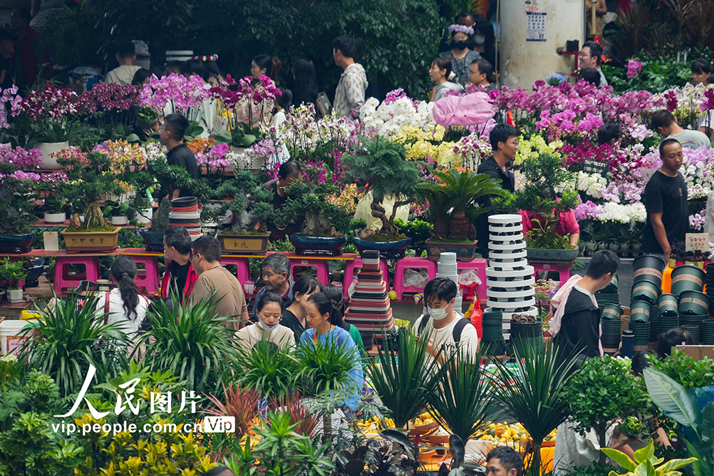 云南昆明：斗南花市鮮花俏銷【4】