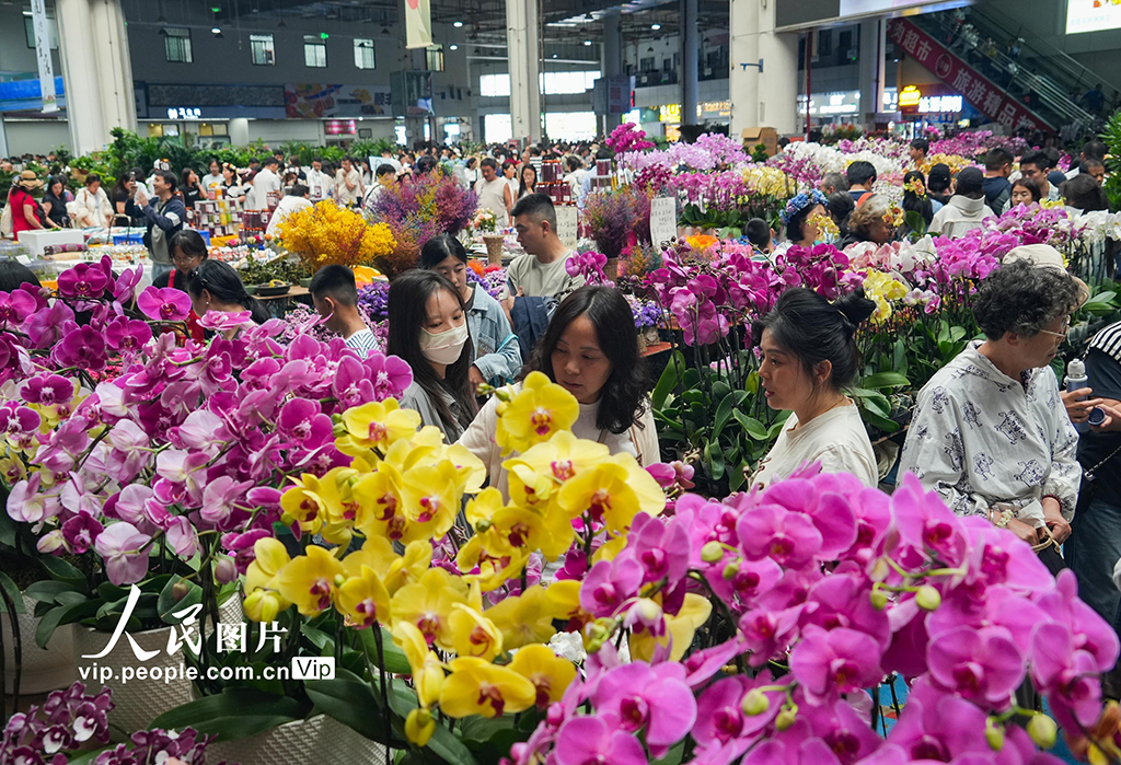 云南昆明：斗南花市鮮花俏銷【5】