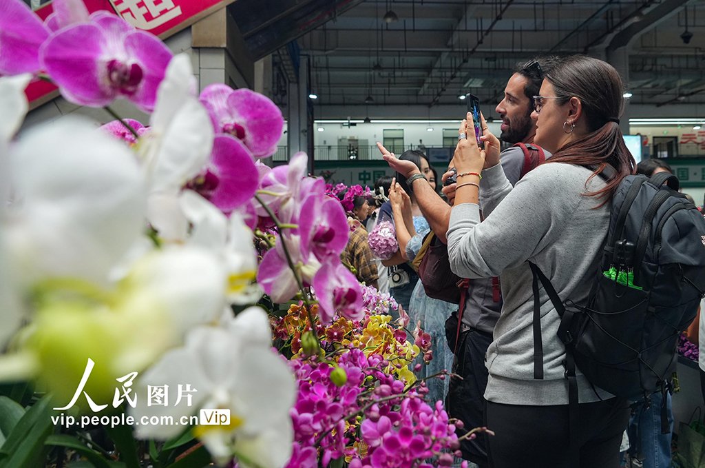 云南昆明：斗南花市鮮花俏銷【2】