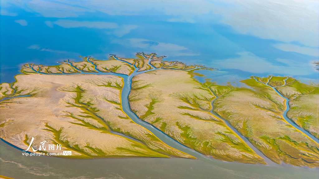 江西都昌:鄱陽湖現“大地之樹”景觀【2】