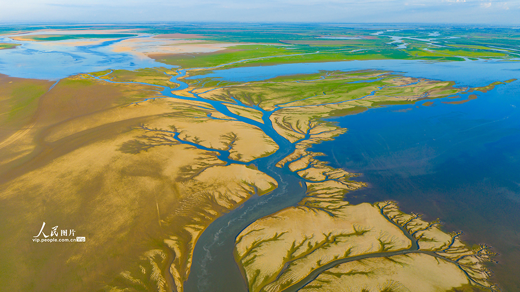 江西都昌：鄱陽湖現“大地之樹”景觀