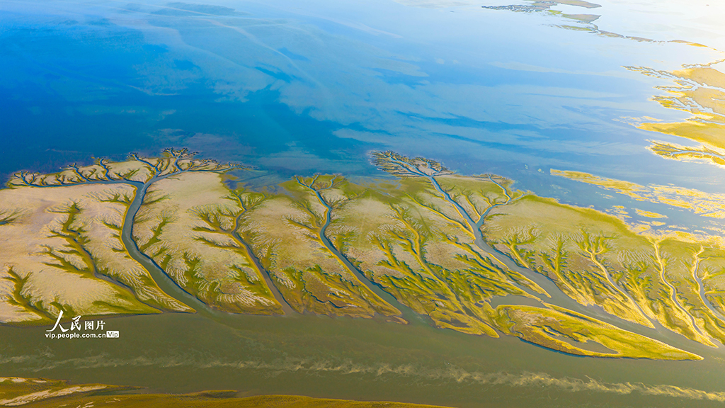 江西都昌:鄱陽湖現“大地之樹”景觀【3】