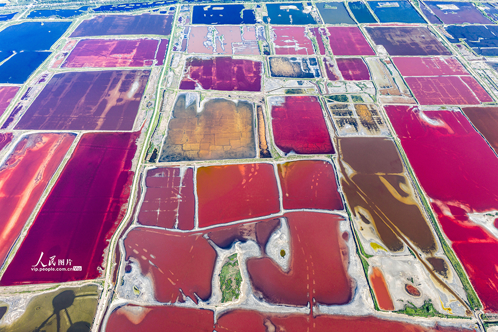 山西運城:鹽湖絢麗多彩【4】