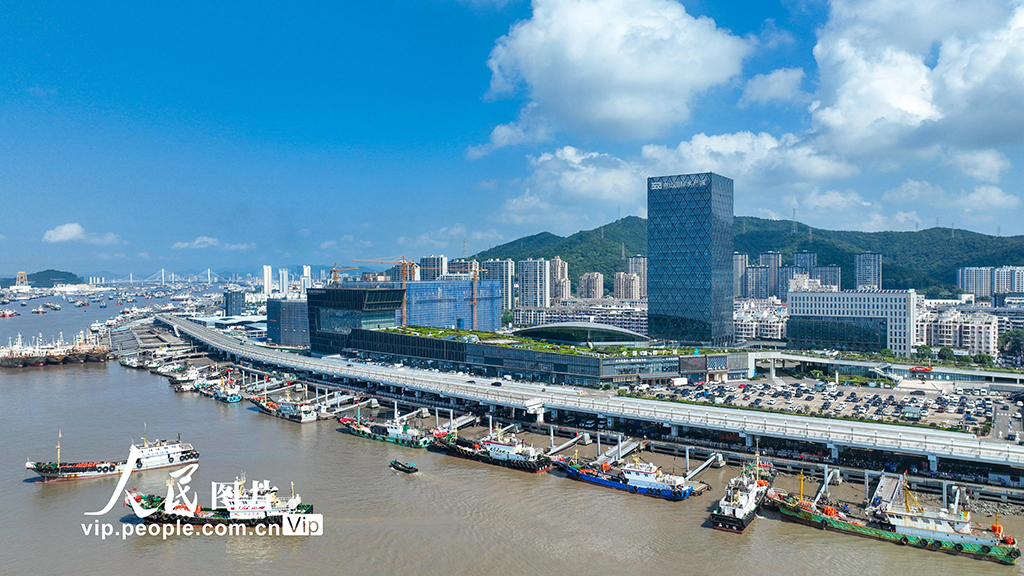 浙江舟山:梭子蟹豐收【5】