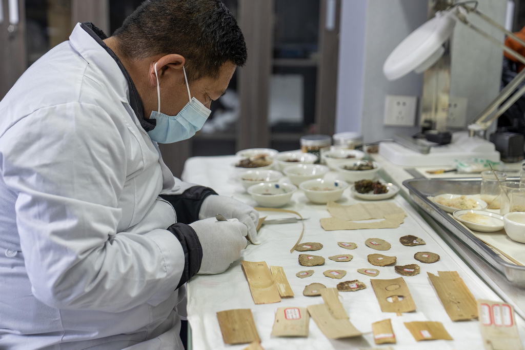 布達拉宮貝葉經實驗性修復小組實驗室工作人員對貝葉進行處理（2025年5月25日攝）。新華社記者 旦增尼瑪曲珠 攝