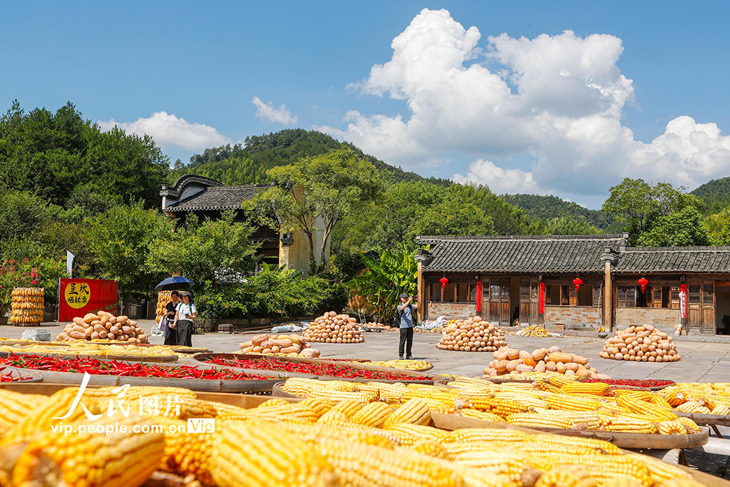 安徽黃山:古村曬秋忙 五彩映豐收【8】