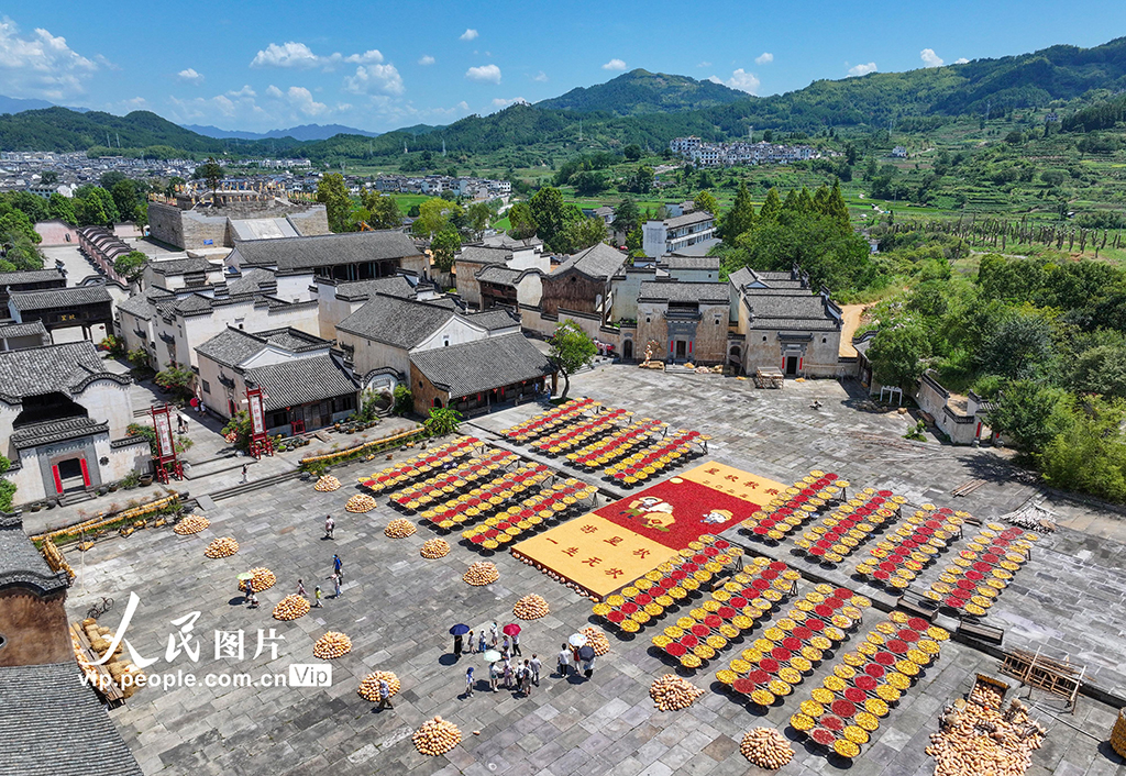 安徽黃山：古村曬秋忙 五彩映豐收【9】