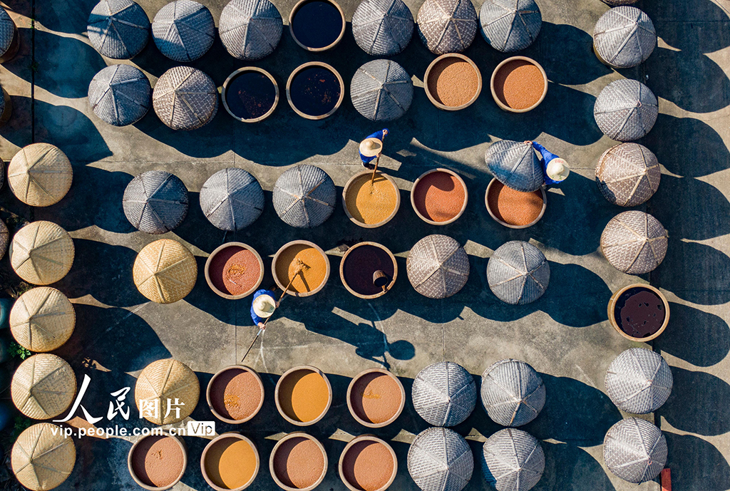 浙江金華:醬油釀曬忙【3】