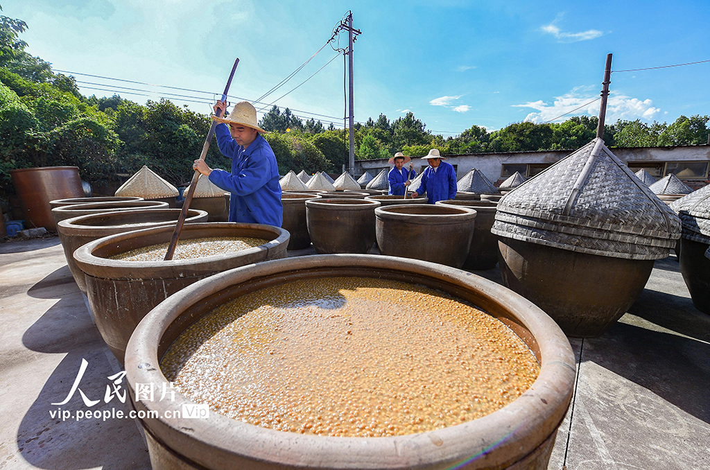 浙江金華:醬油釀曬忙【5】