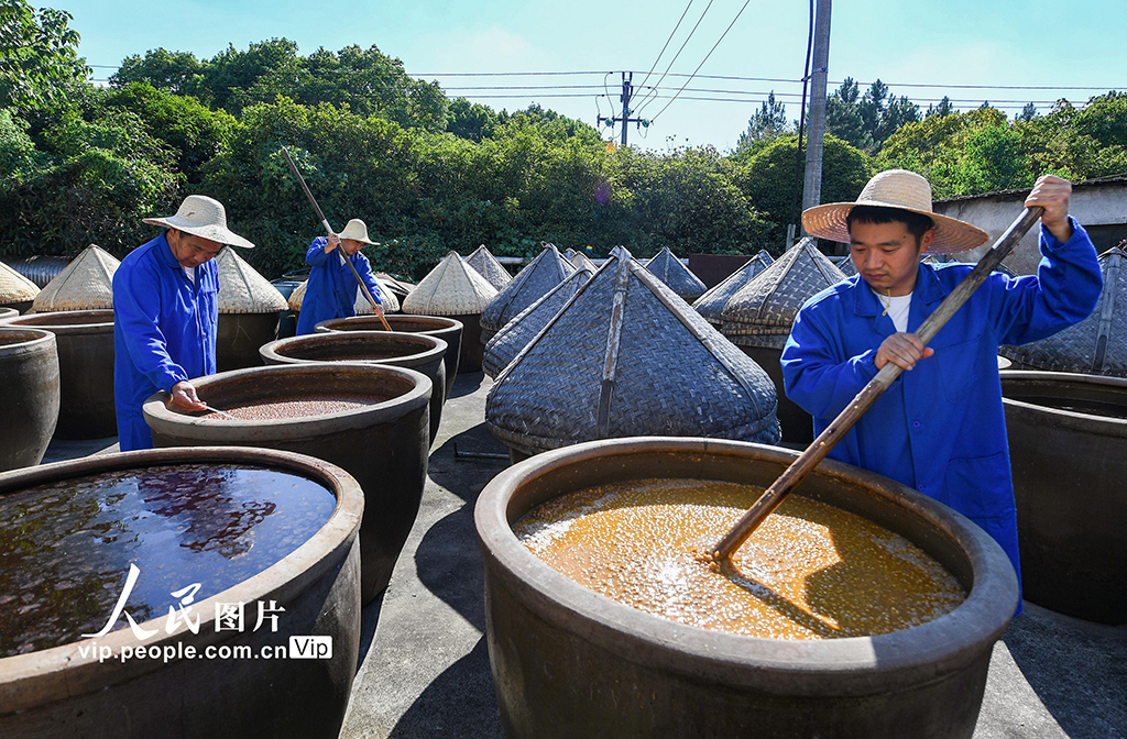 浙江金華:醬油釀曬忙【6】