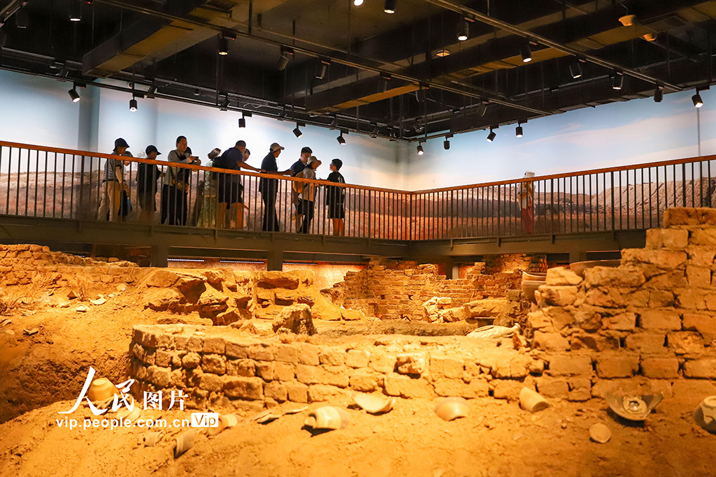 寧夏銀川:西夏陵景區游人如織【4】