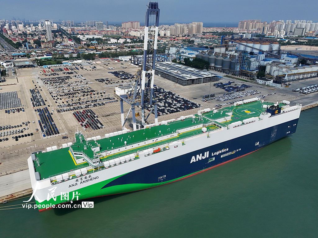 山東煙臺:全球最大9500車位汽車運輸船抵港裝車【7】