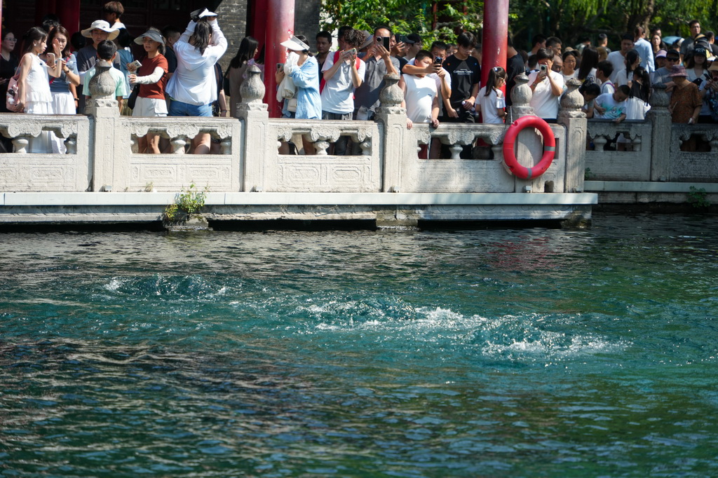 8月22日，人們在濟南趵突泉觀賞泉水。