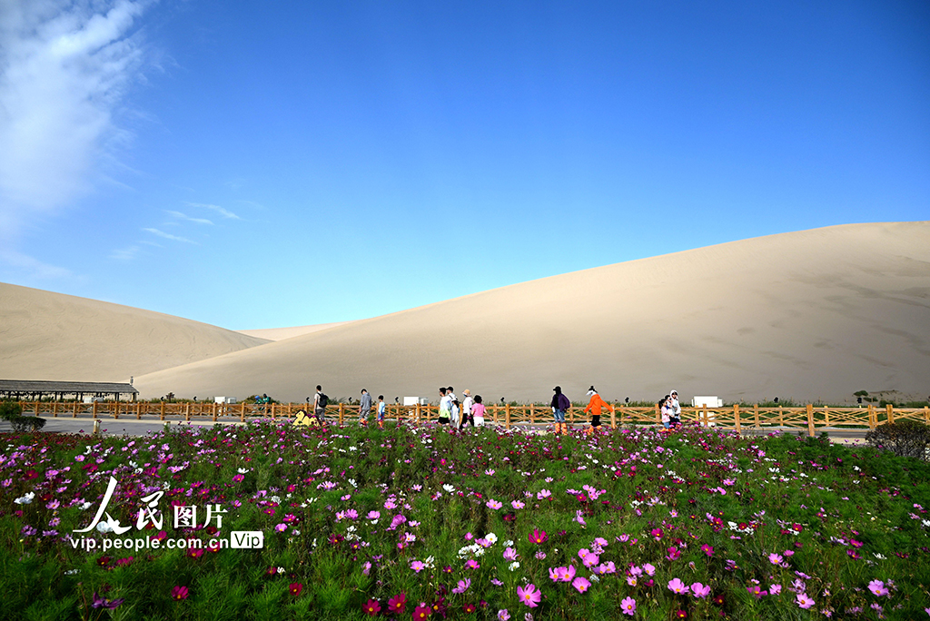 甘肅敦煌:秋游大漠【3】