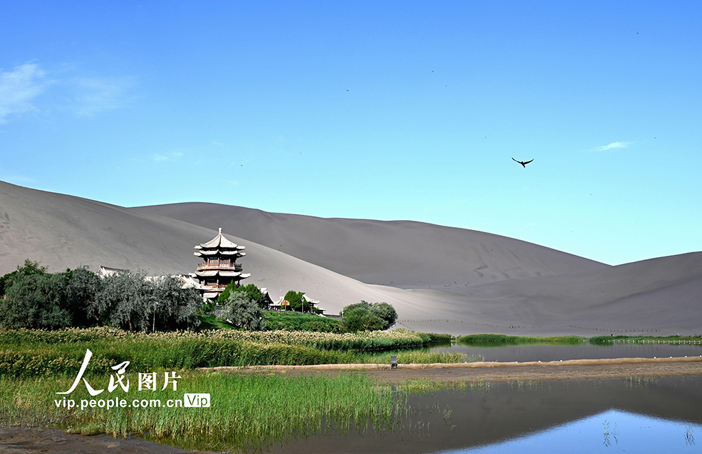 甘肅敦煌:秋游大漠【6】