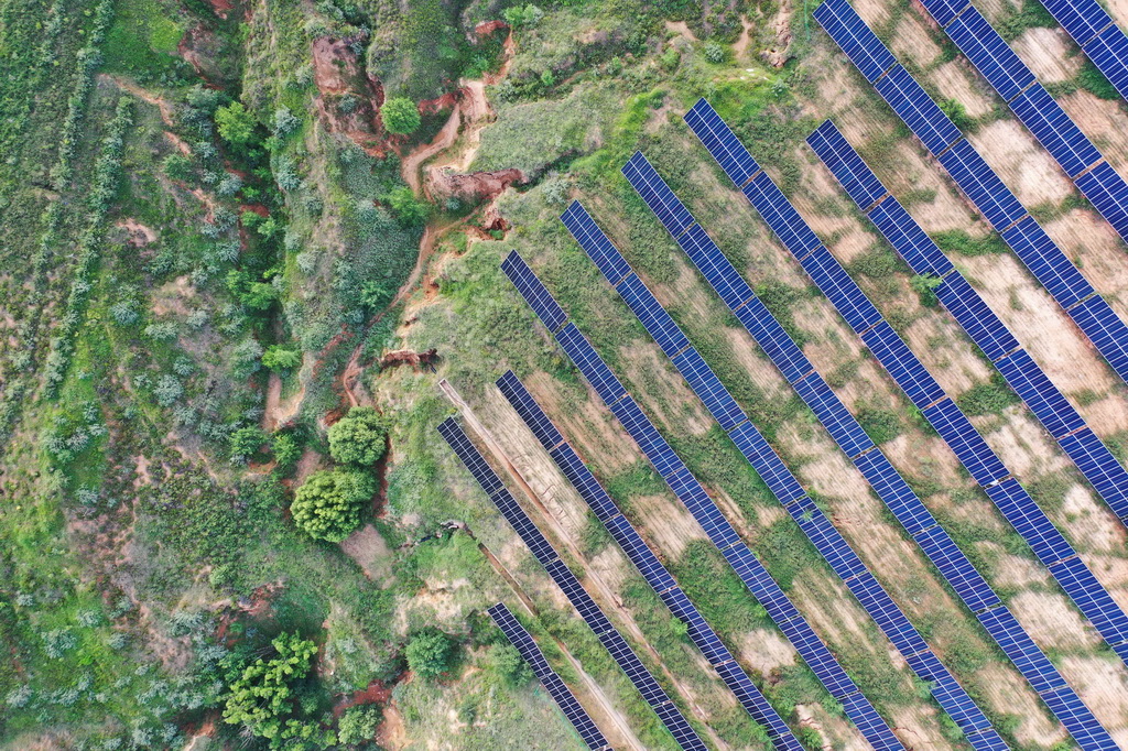 這是7月30日拍攝的天驕綠能50萬千瓦采煤沉陷區生態治理光伏發電示范項目區（無人機照片）。