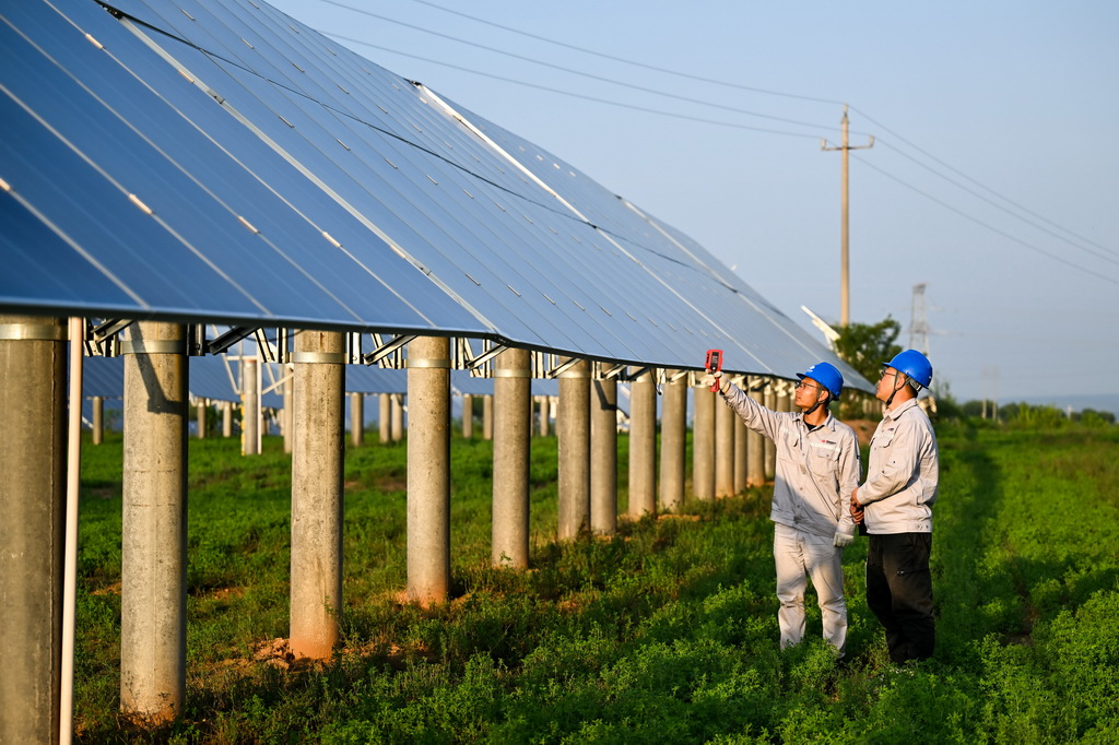 工人在天驕綠能50萬千瓦采煤沉陷區生態治理光伏發電示范項目區巡查光伏板（7月30日攝）。