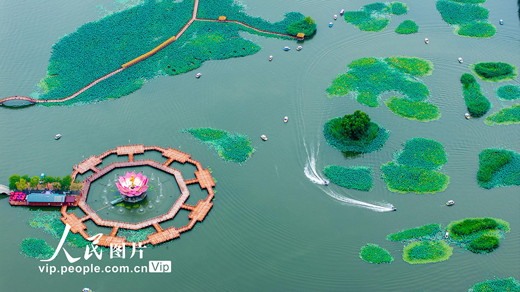 樂游白洋淀【3】