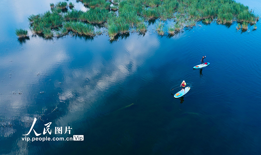 樂游白洋淀【2】