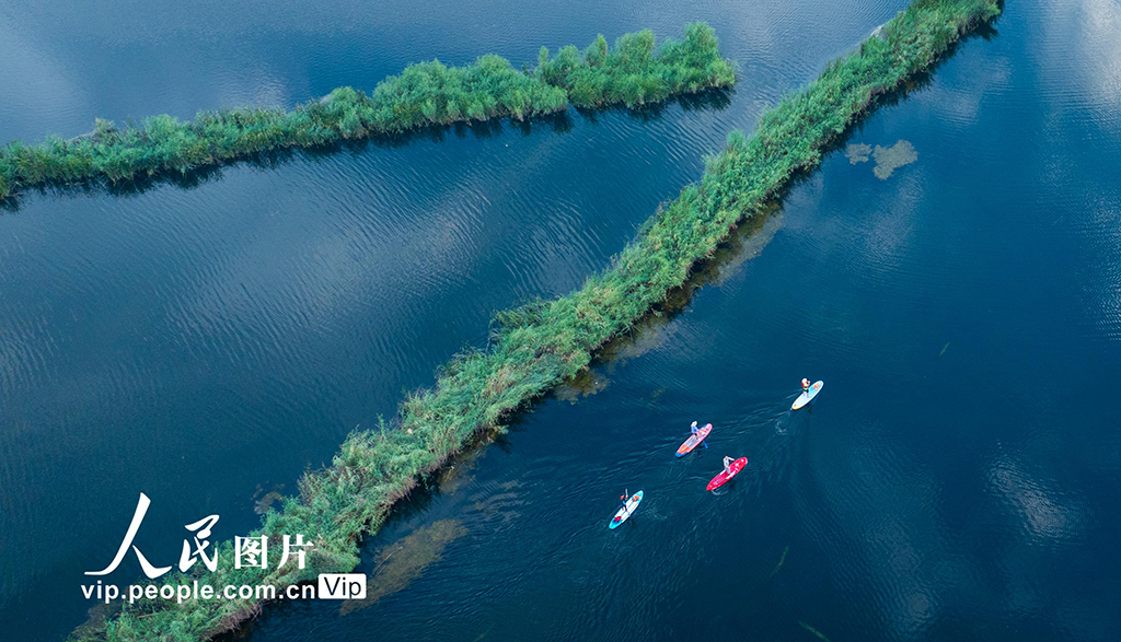 樂游白洋淀【5】