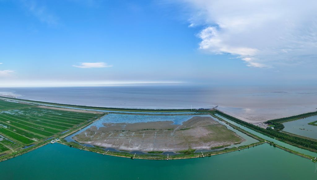 8月25日拍攝的東臺條子泥濕地“720”高潮位棲息地（無人機照片）。