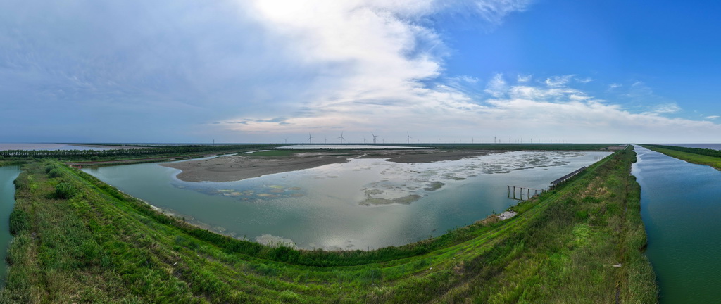 8月25日拍攝的東臺條子泥濕地“720”高潮位棲息地（無人機照片）。
