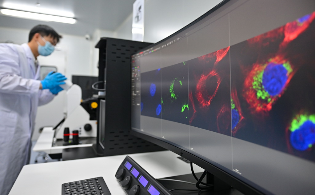 8月27日，三亞崖州灣科技城月亮島綜合實驗室的工作人員在操作激光共聚焦顯微鏡。?？诤ｊP實驗室總面積5.6萬平方米，主要分布在?？?、三亞，共有8棟實驗室大樓。三亞崖州灣科技城月亮島綜合實驗室是其中之一。