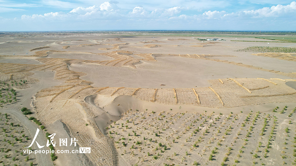 甘肅金塔:給風沙“設路障” 讓沙漠“穿綠衣”【8】