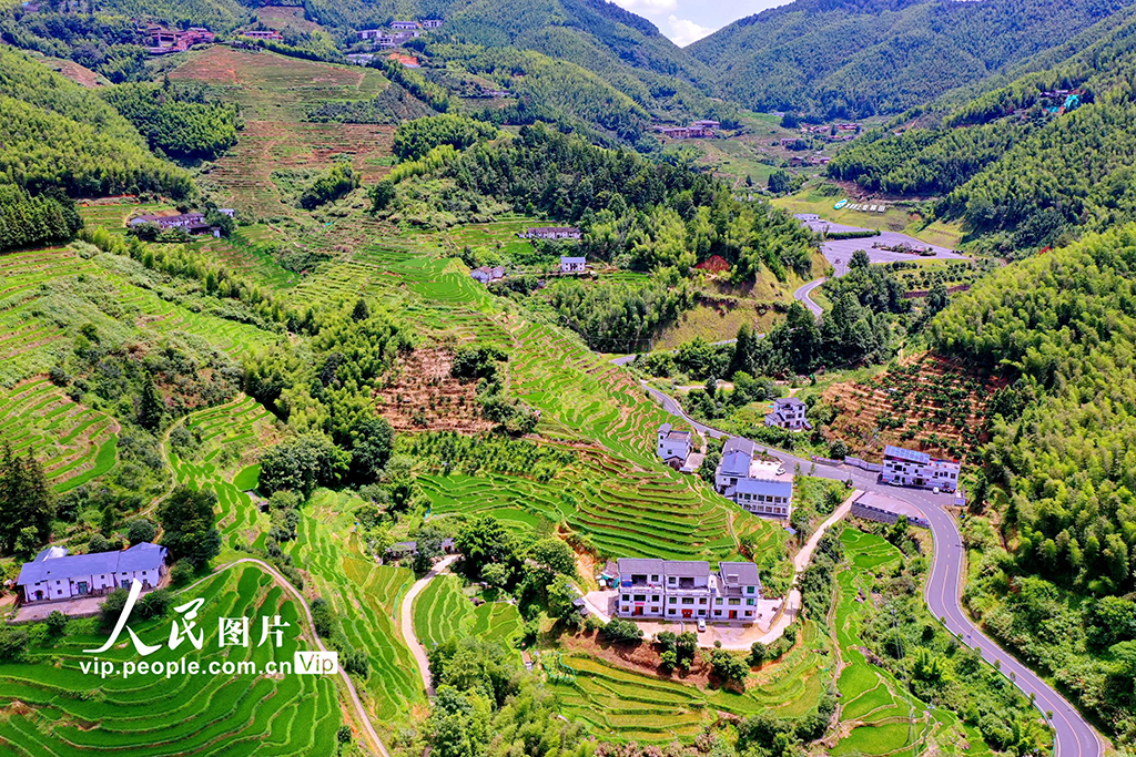 江西崇義:初秋梯田景如畫【6】