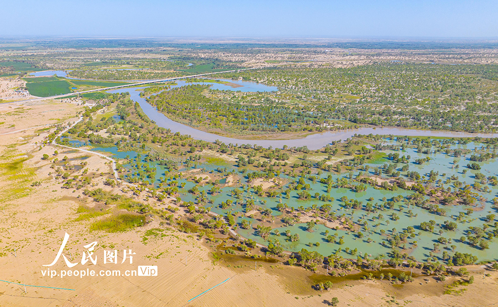新疆尉犁:水豐林茂 生態環境持續向好【2】