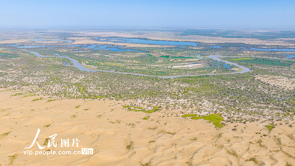新疆尉犁:水豐林茂 生態環境持續向好【3】