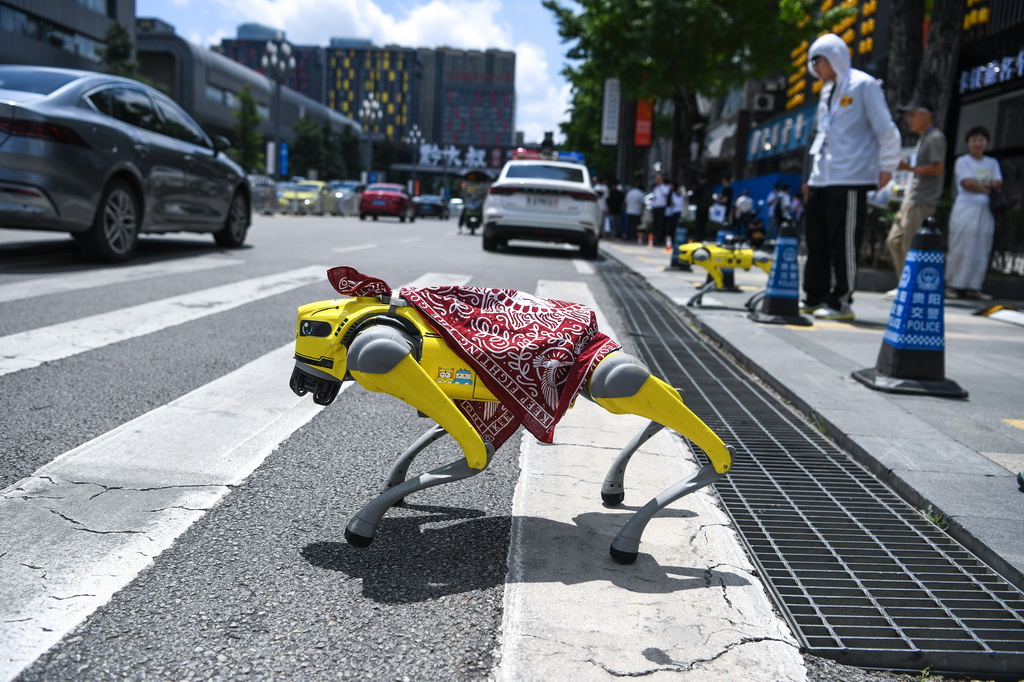 8月28日，機器狗在數博會展館附近過馬路。新華社記者 楊文斌 攝