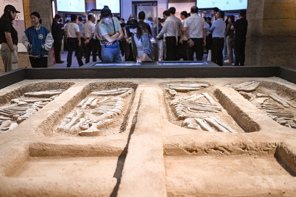 這是8月28日拍攝的展覽中的車馬坑模型。