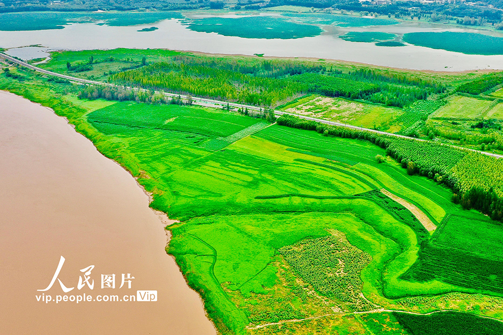 山西平陸:黃河岸畔景美如畫【4】