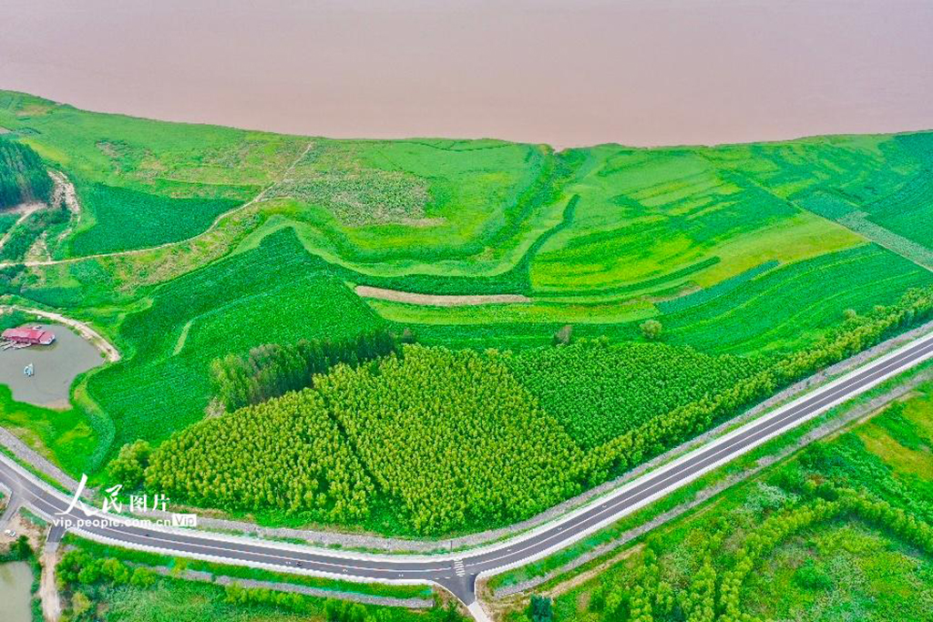 山西平陸:黃河岸畔景美如畫【5】