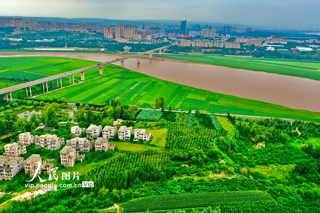 山西平陸:黃河岸畔景美如畫【7】