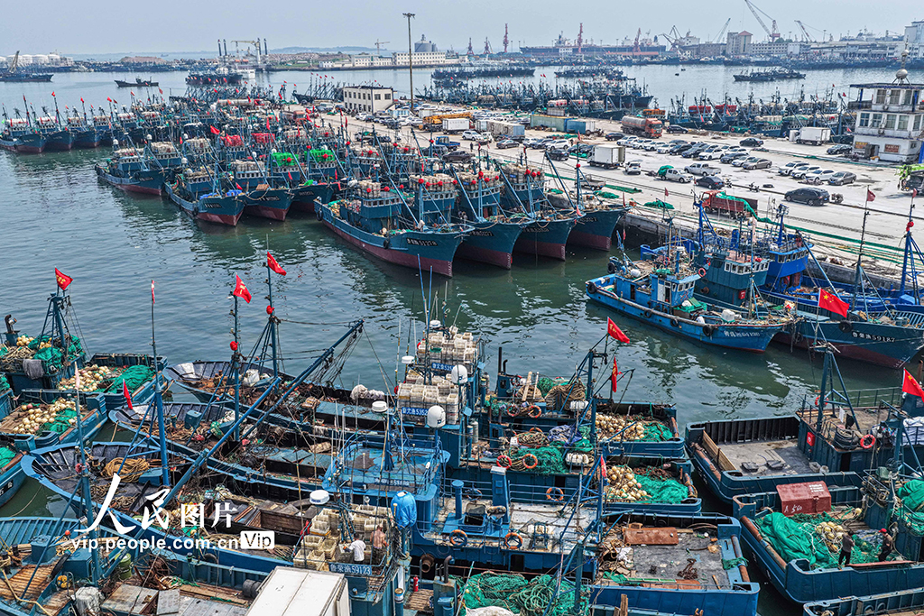 山東榮成:迎開海 備秋捕【4】