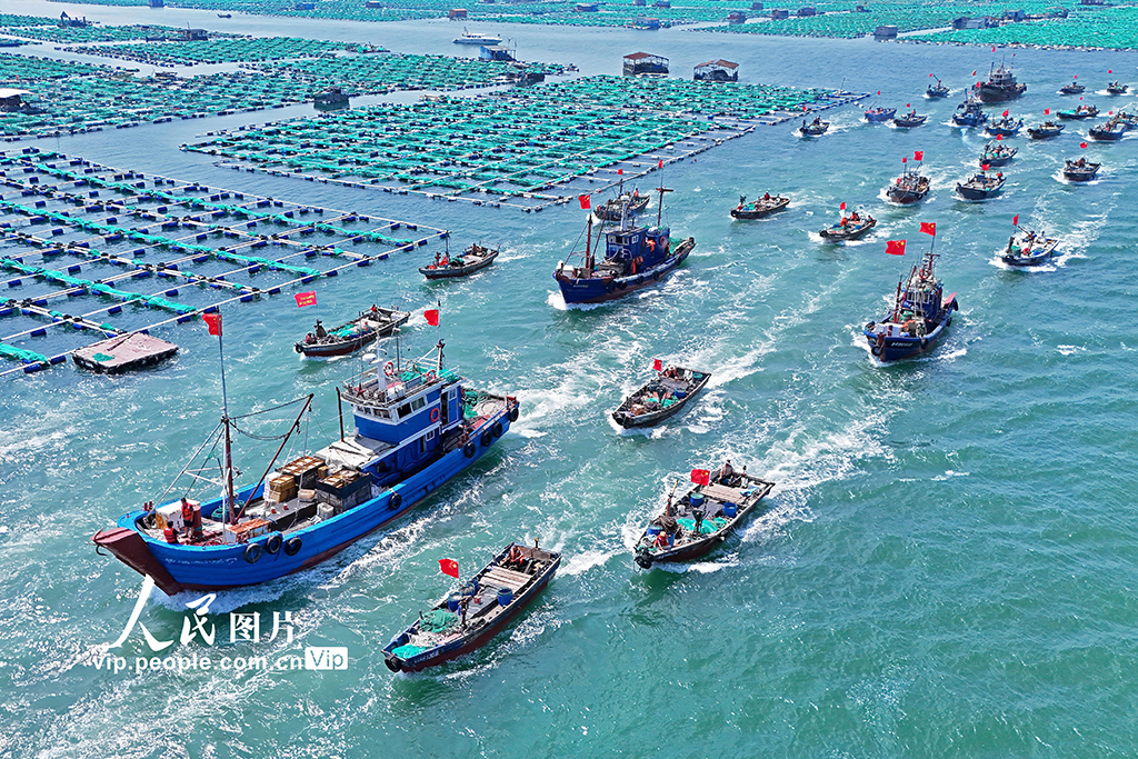 千船競發耕藍海