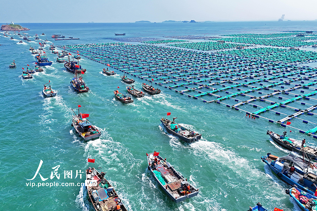 千船競發耕藍?!?】