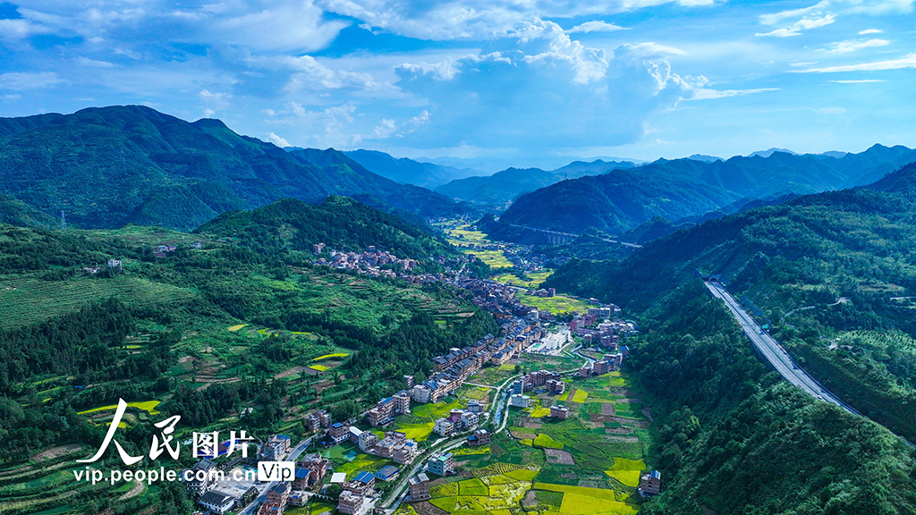 貴州三穗:鄉村好“豐”景【3】